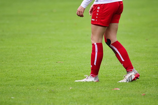 不斷變幻的 不斷變幻的