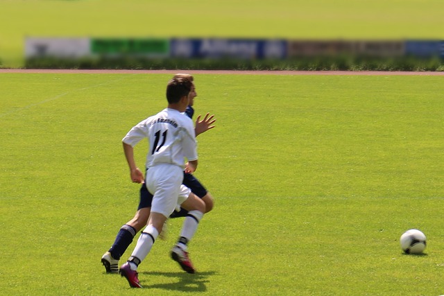 了新的生命 了新的生命