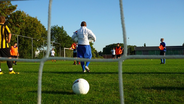 开始展现出 开始展现出