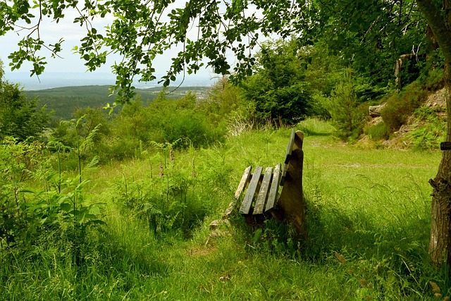 教练组在落 教练组在落