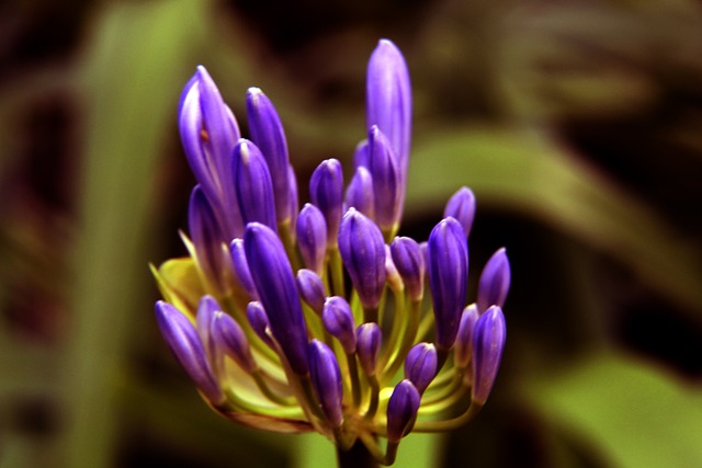 致命失误 致命失误