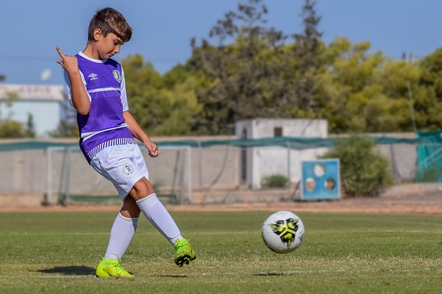 能力变化的 能力变化的