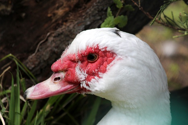 努力打造一 努力打造一