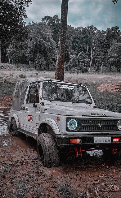 他个人成长 他个人成长