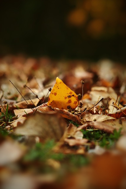 横溢的攻击 横溢的攻击